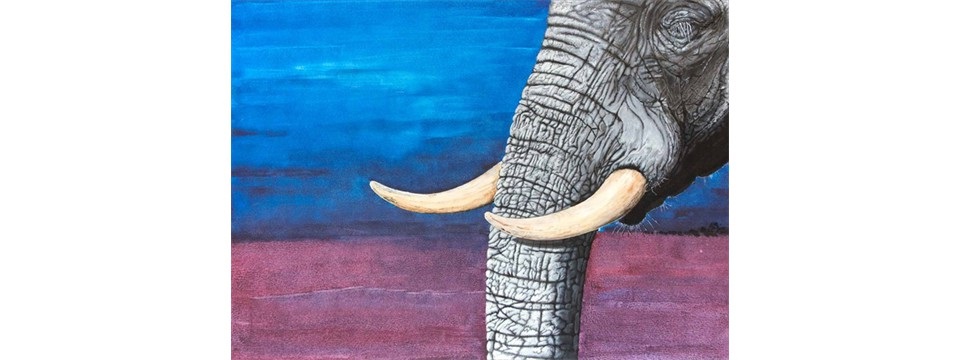 elephant1