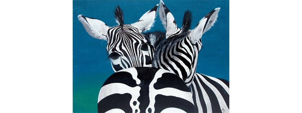 zebras